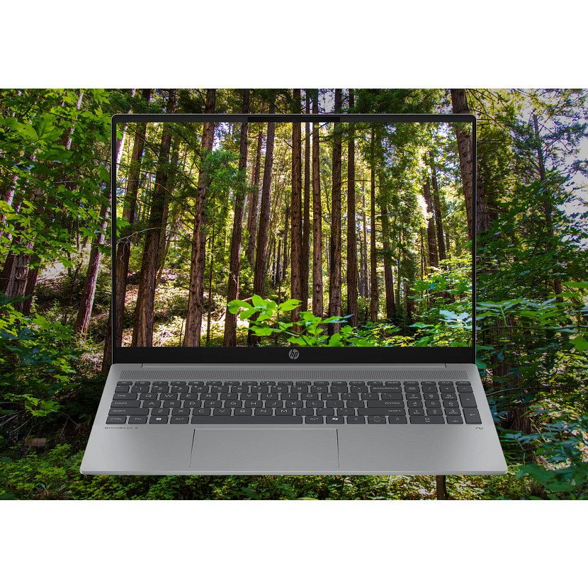 Una laptop HP plateada abierta muestra un denso bosque verde en su pantalla, fundiéndose con un fondo de árboles.