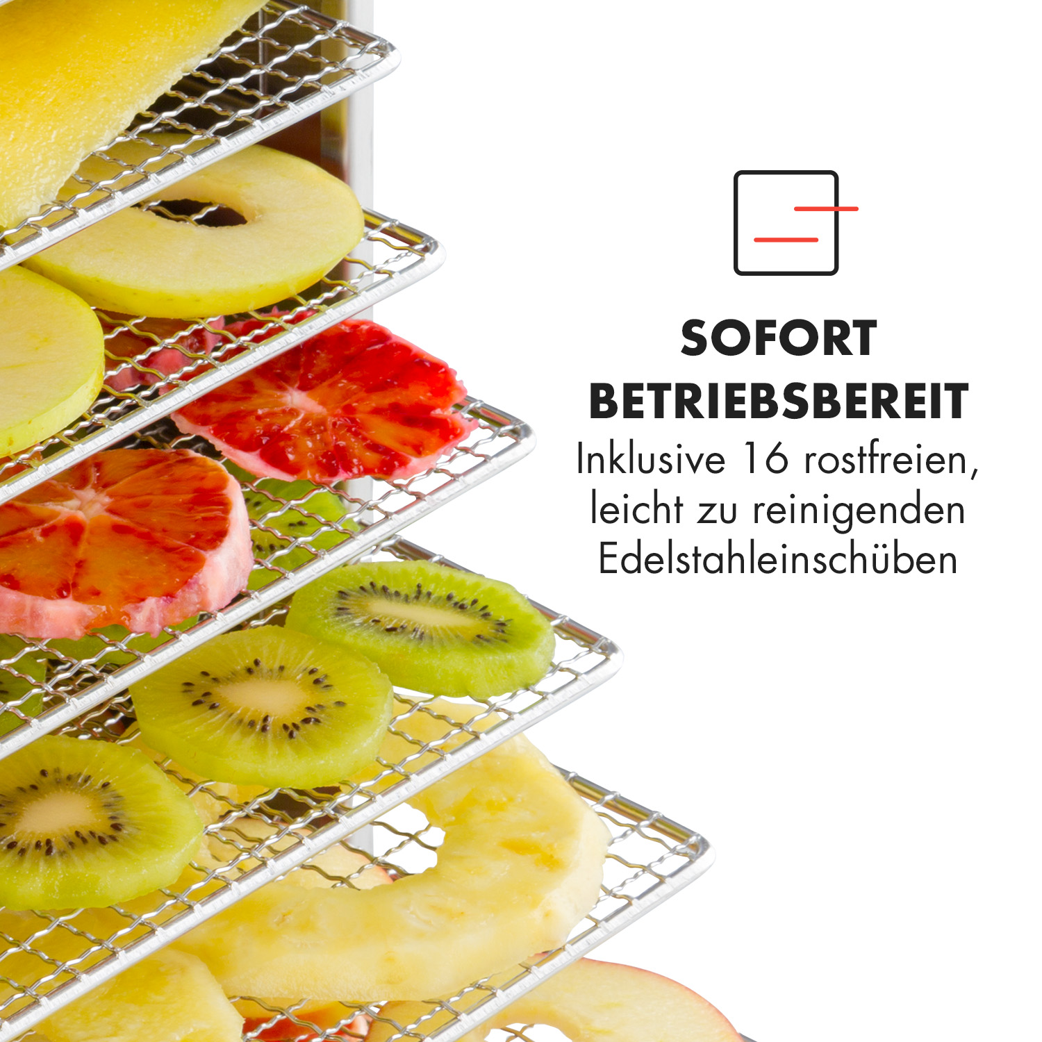 Ripiani per essiccatore in acciaio inossidabile con frutta e testo.