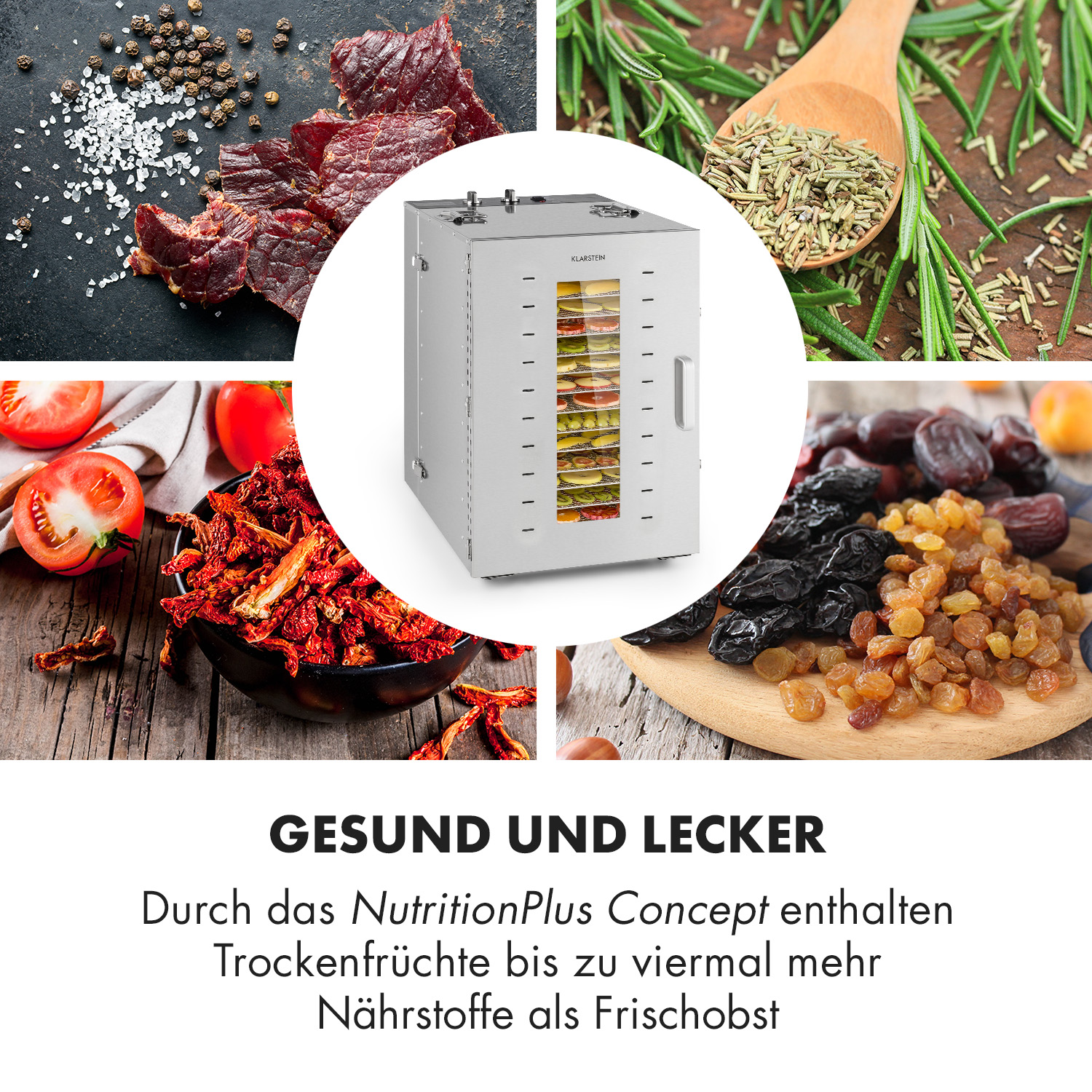 Un essiccatore per alimenti argentato al centro, circondato da immagini di carne essiccata, erbe, pomodori e frutta.
