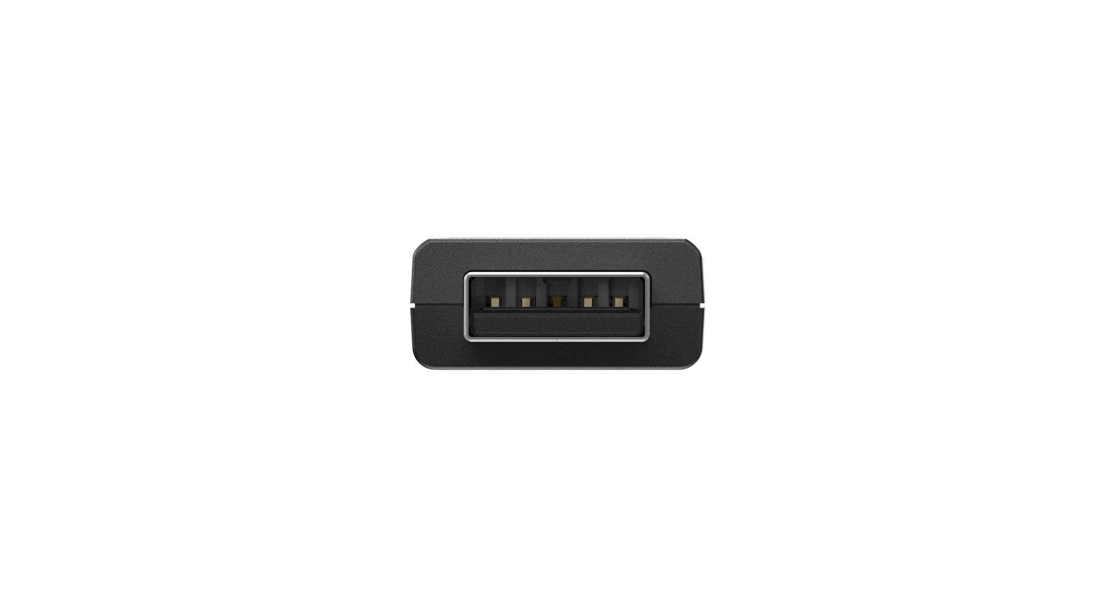 Primer plano de un puerto USB negro sobre fondo blanco.