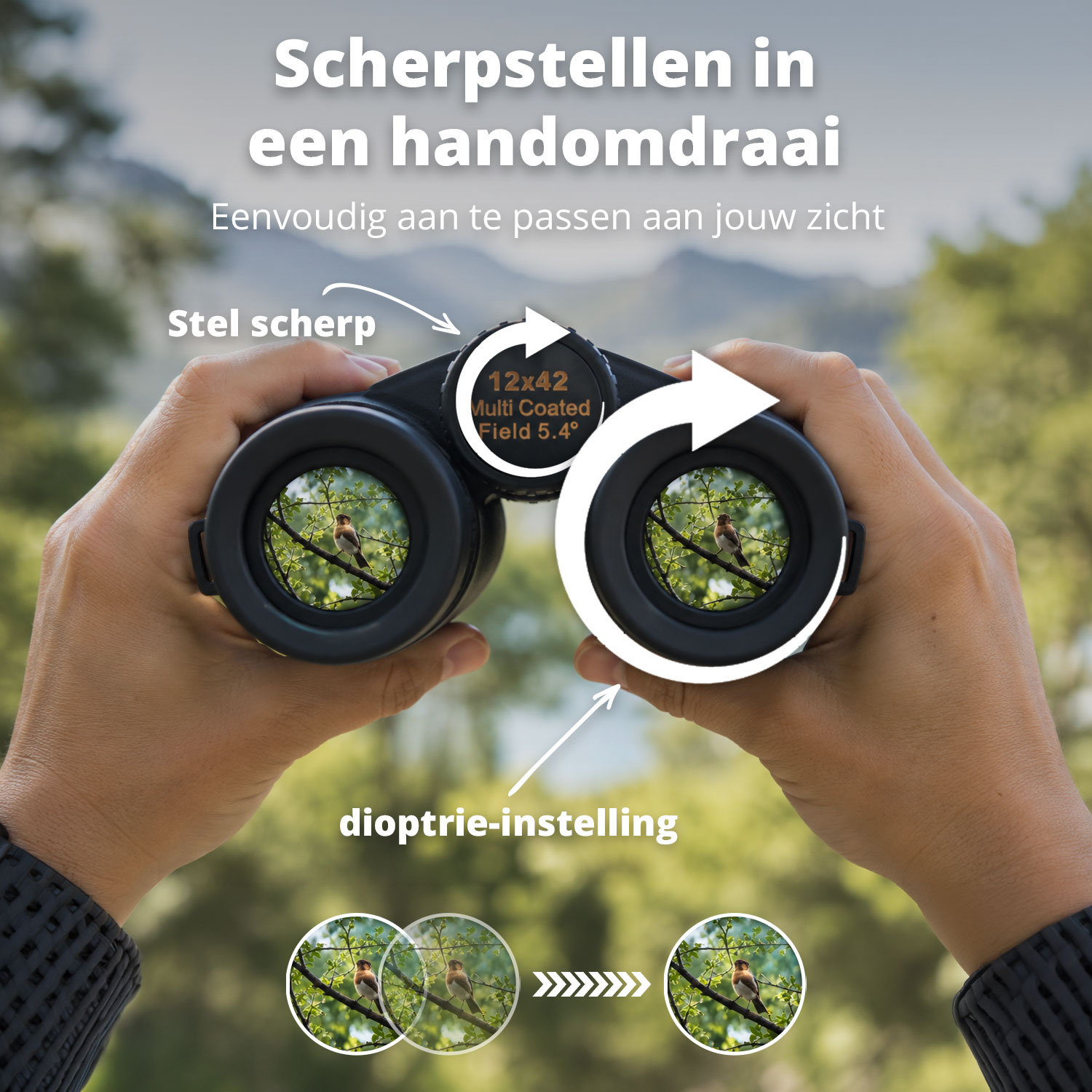 Hands holding binoculars showing a bird in a tree, with graphic adjustment guides.
