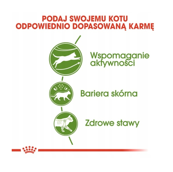 Infografía sobre beneficios de comida para gatos: apoyo a la actividad, barrera cutánea y articulaciones sanas.