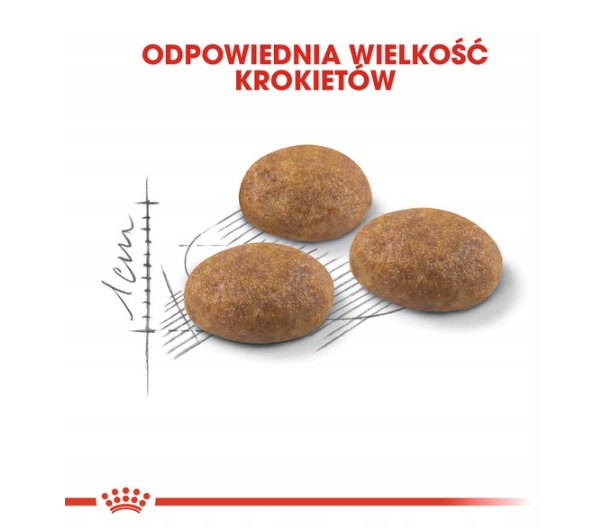 Tres croquetas de comida marrón para mascotas con un boceto y una medida de 1cm en fondo blanco.