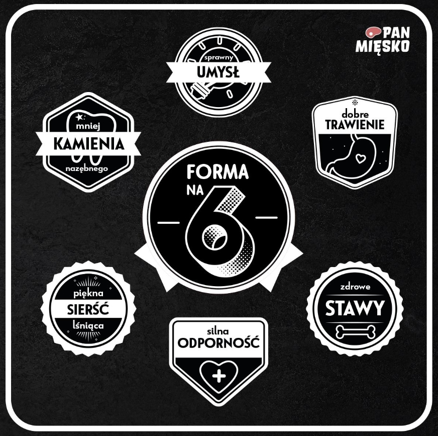 Seis iconos redondos y en forma de escudo con texto polaco sobre fondo negro, centrados alrededor de un emblema principal.