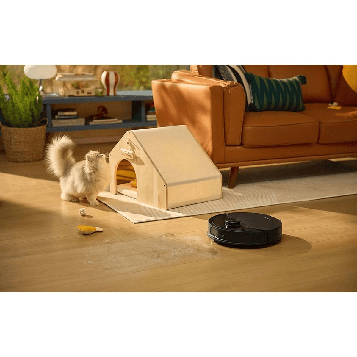 Un gatto soffice guarda una cuccia di legno, vicino a un robot aspirapolvere su un pavimento in legno.