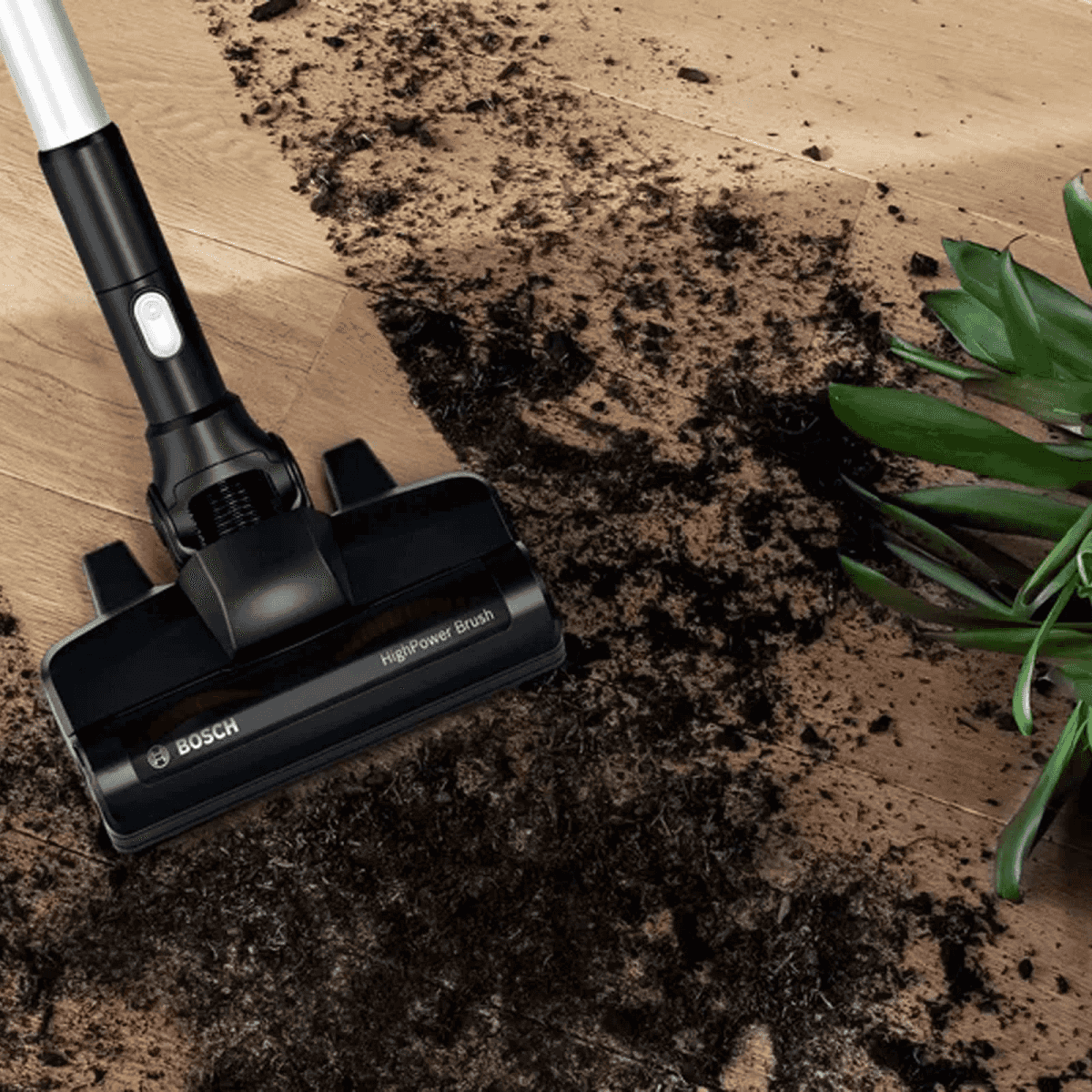 Un aspirapolvere Bosch pulisce la terra da un pavimento in legno vicino a una pianta.