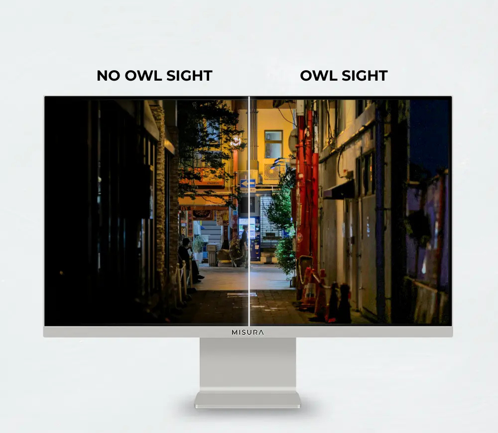 Un monitor mostra un confronto: a sinistra 'NO OWL SIGHT' (scuro), a destra 'OWL SIGHT' (strada notturna luminosa).