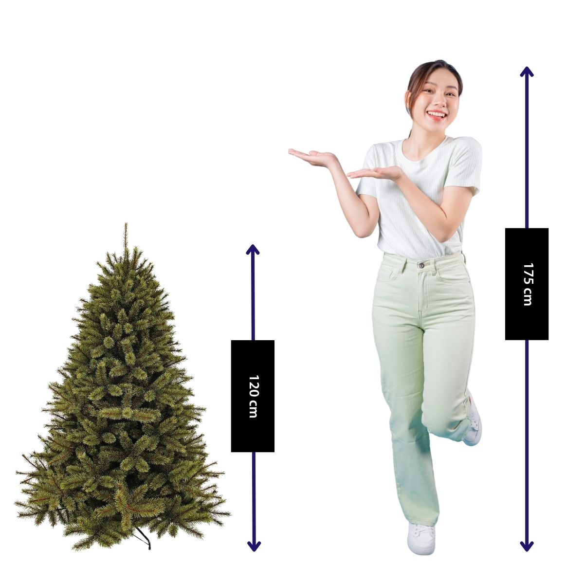 A woman in a white shirt gestures toward a 120 cm artificial Christmas tree, while she stands 175 cm tall.