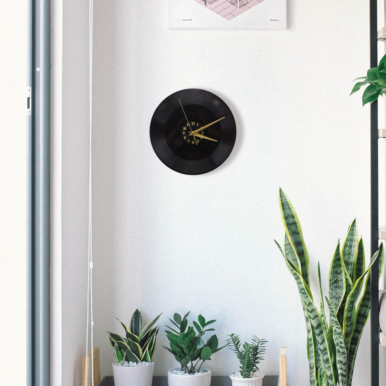 Eine schwarze Schallplatten-Wanduhr hängt an einer weißen Wand, umgeben von grünen Topfpflanzen.