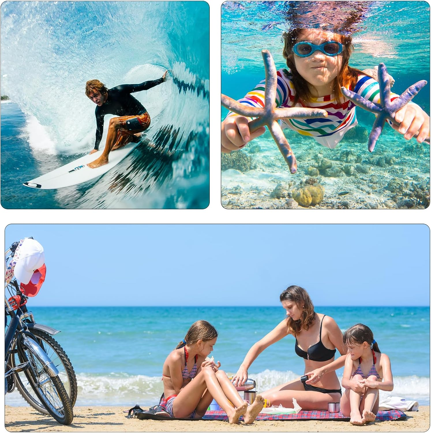 Eine Collage zeigt einen Surfer, ein Kind unter Wasser mit Seesternen und eine Familie beim Picknick am Strand.