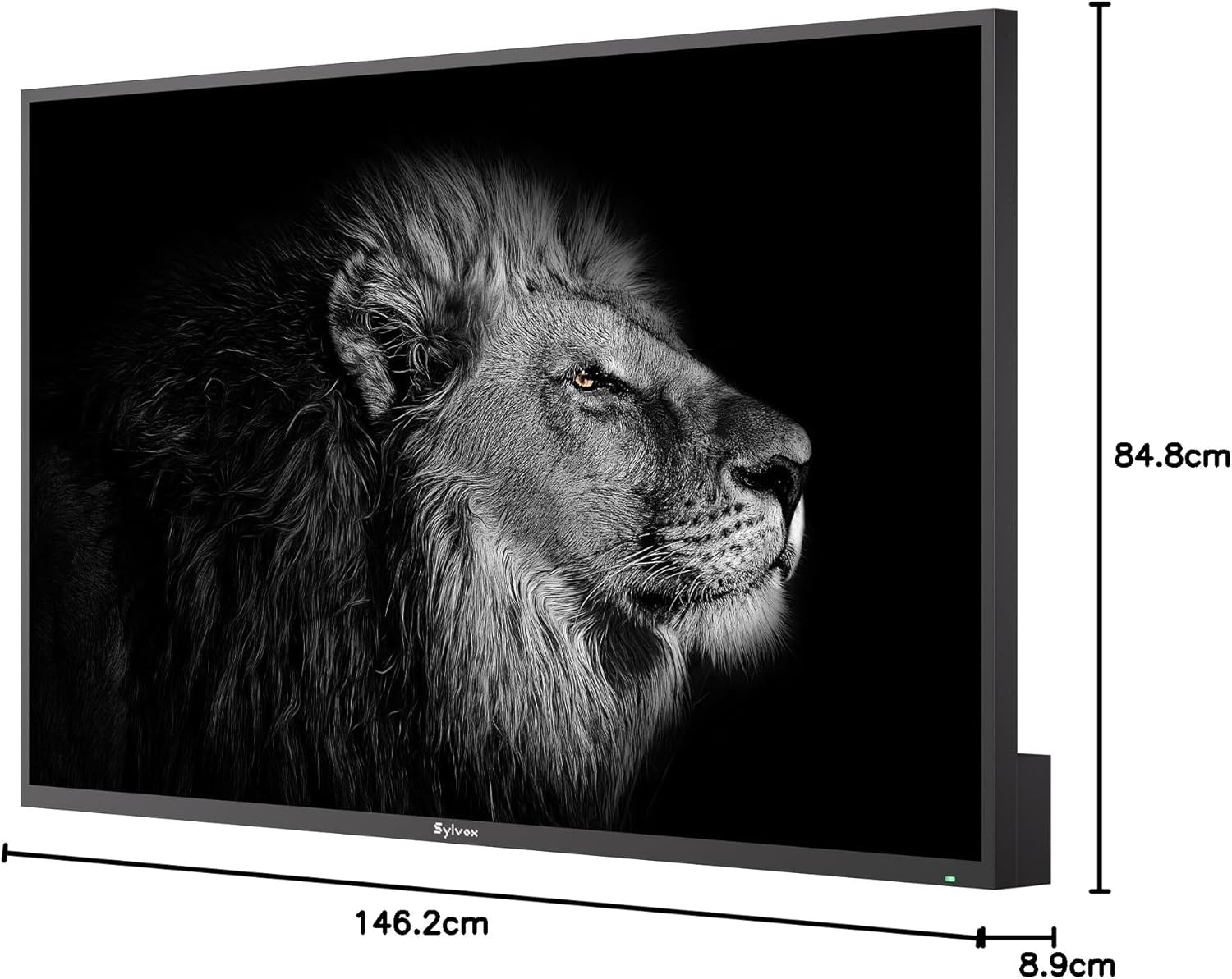 Ein schwarzer Fernseher mit Maßen von 146,2 cm Breite, 84,8 cm Höhe und 8,9 cm Tiefe zeigt das Bild eines Löwen.