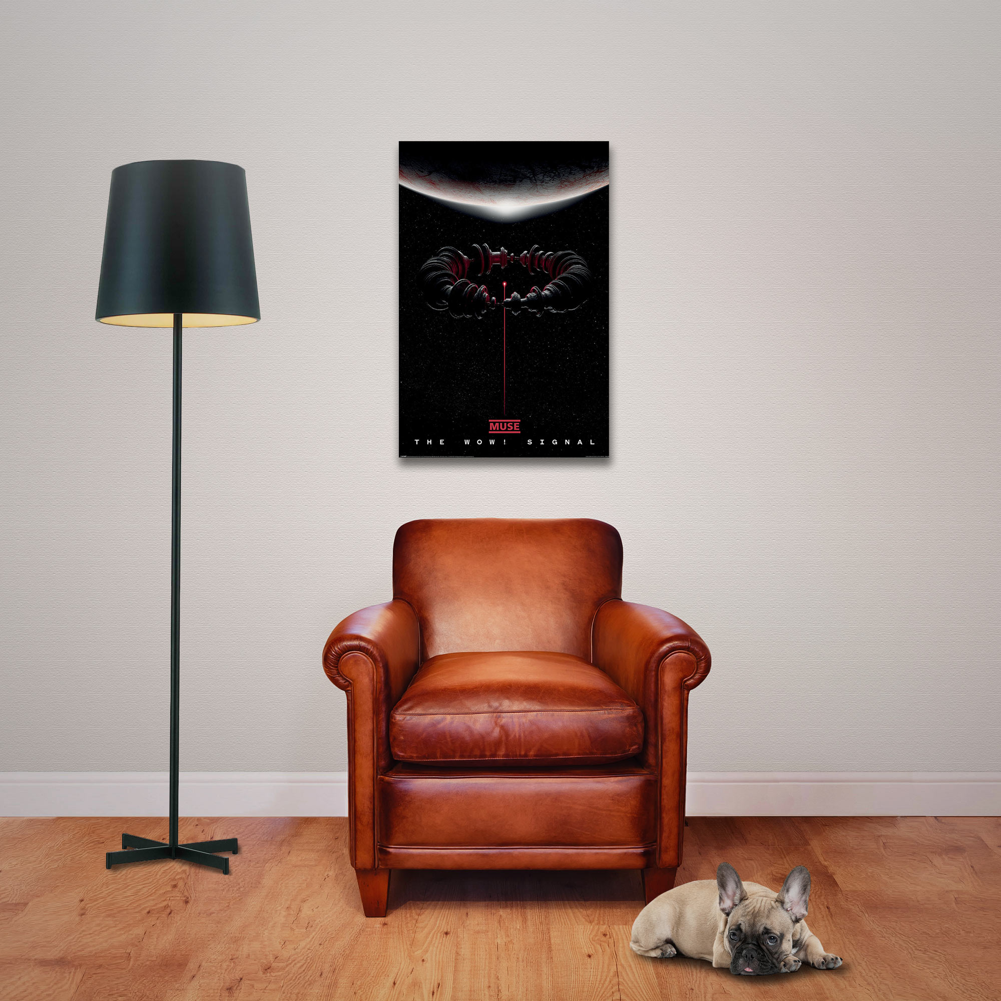 Ein brauner Ledersessel, eine hohe schwarze Stehlampe, ein Weltraumposter an der Wand und eine französische Bulldogge.