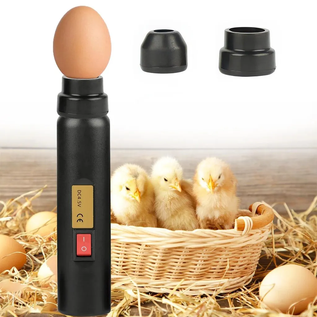 Ein schwarzes Eierleuchtegerät mit Ei steht neben einem Korb mit drei Küken und Eiern auf Heu.
