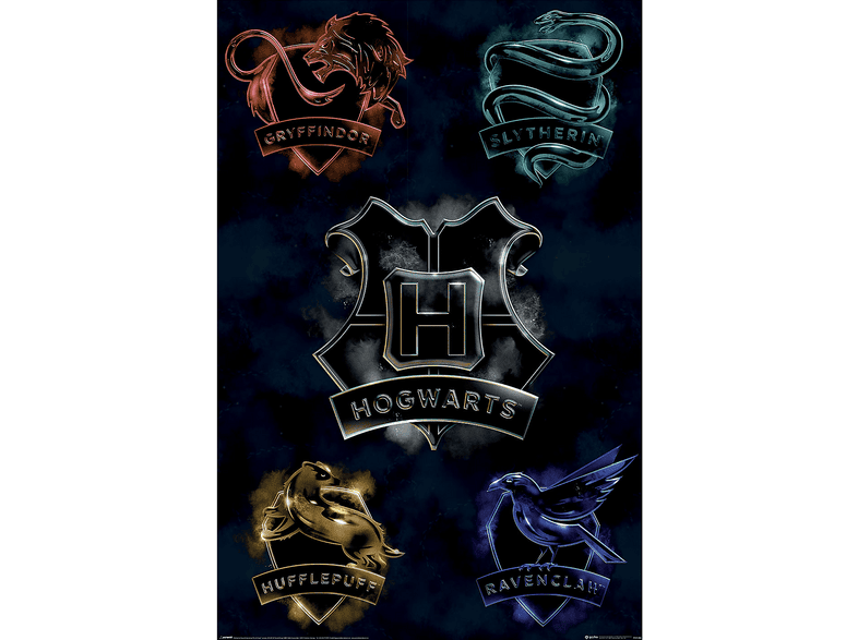 harry-potter-houses-61x91-5-cm-mediamarkt