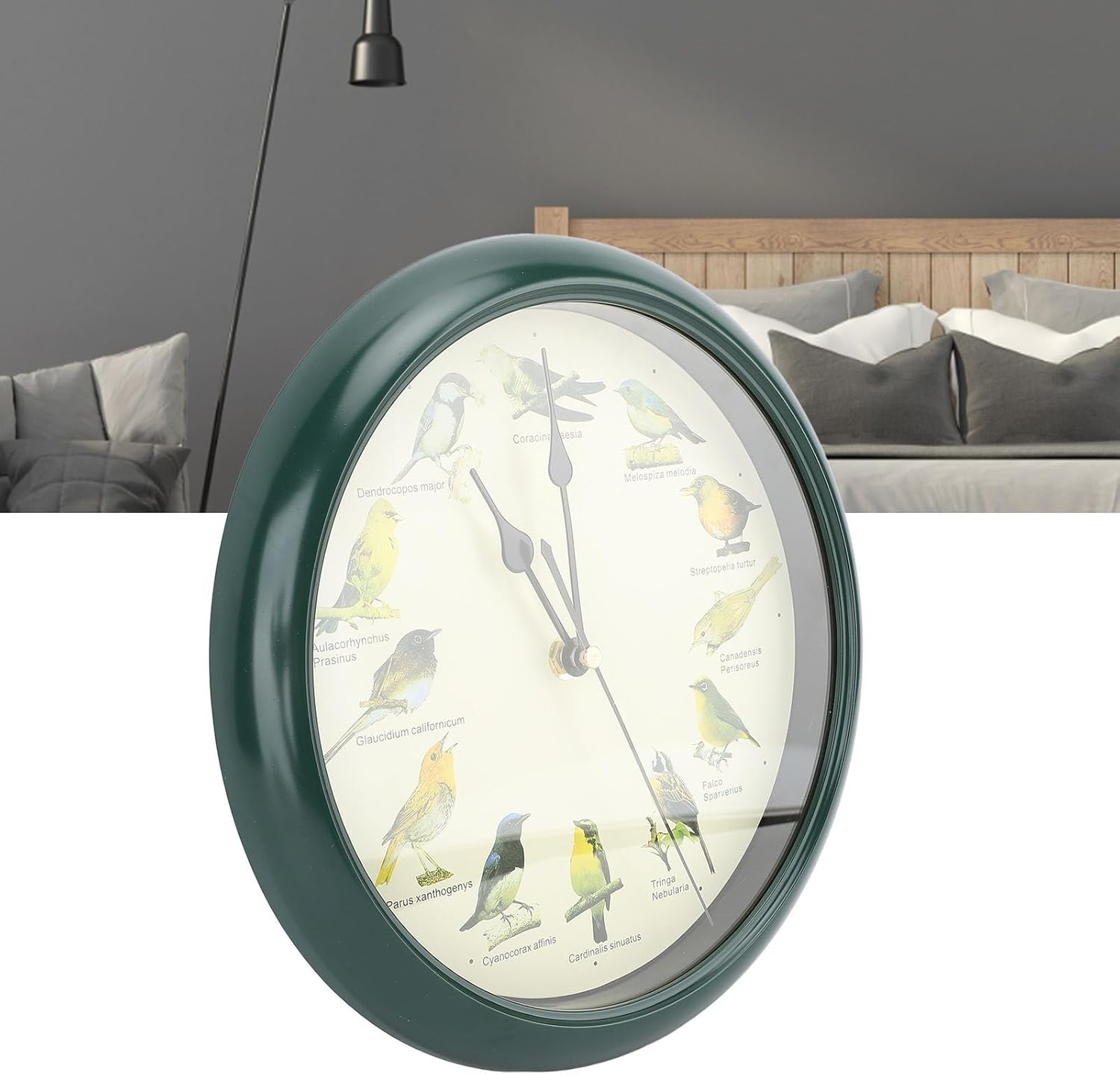 Eine grüne Wanduhr mit Vogelmotiven auf dem Zifferblatt in einem Zimmer mit Bett.