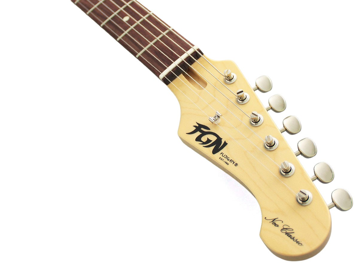 Beyaz arka planda altı akort burgusu ve FGN logolu bir elektro gitar başlığı.