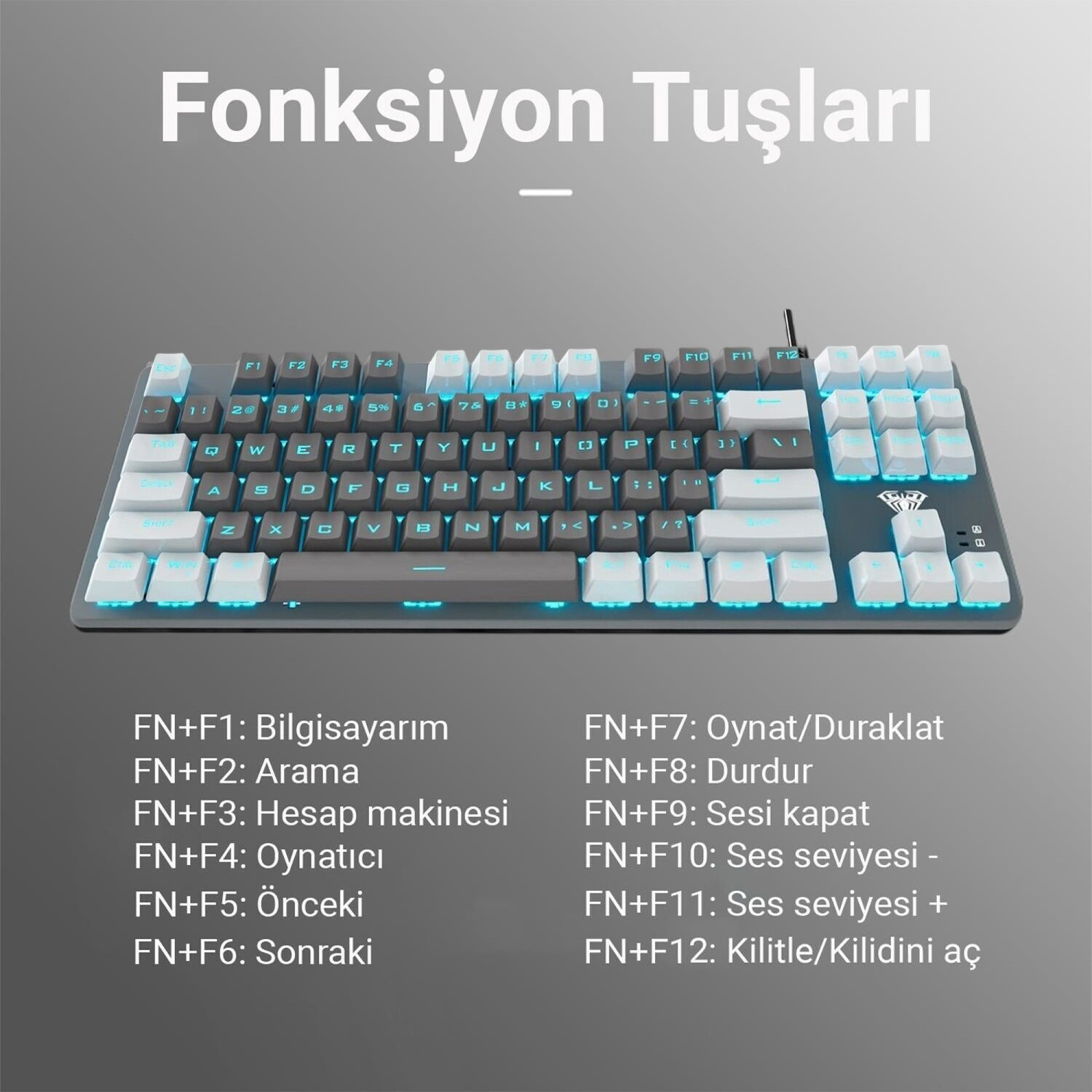 Gri arka plan üzerinde mavi LED aydınlatmalı mekanik klavye ve fonksiyon tuşu açıklamaları.