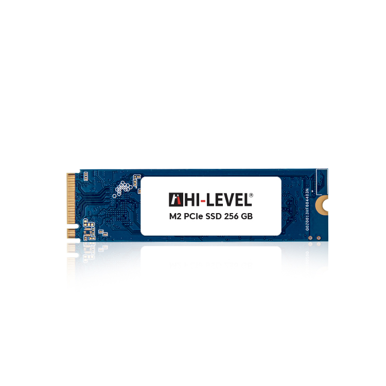 Beyaz arka plan üzerinde mavi bir Hi-Level M.2 PCIe SSD 256 GB.