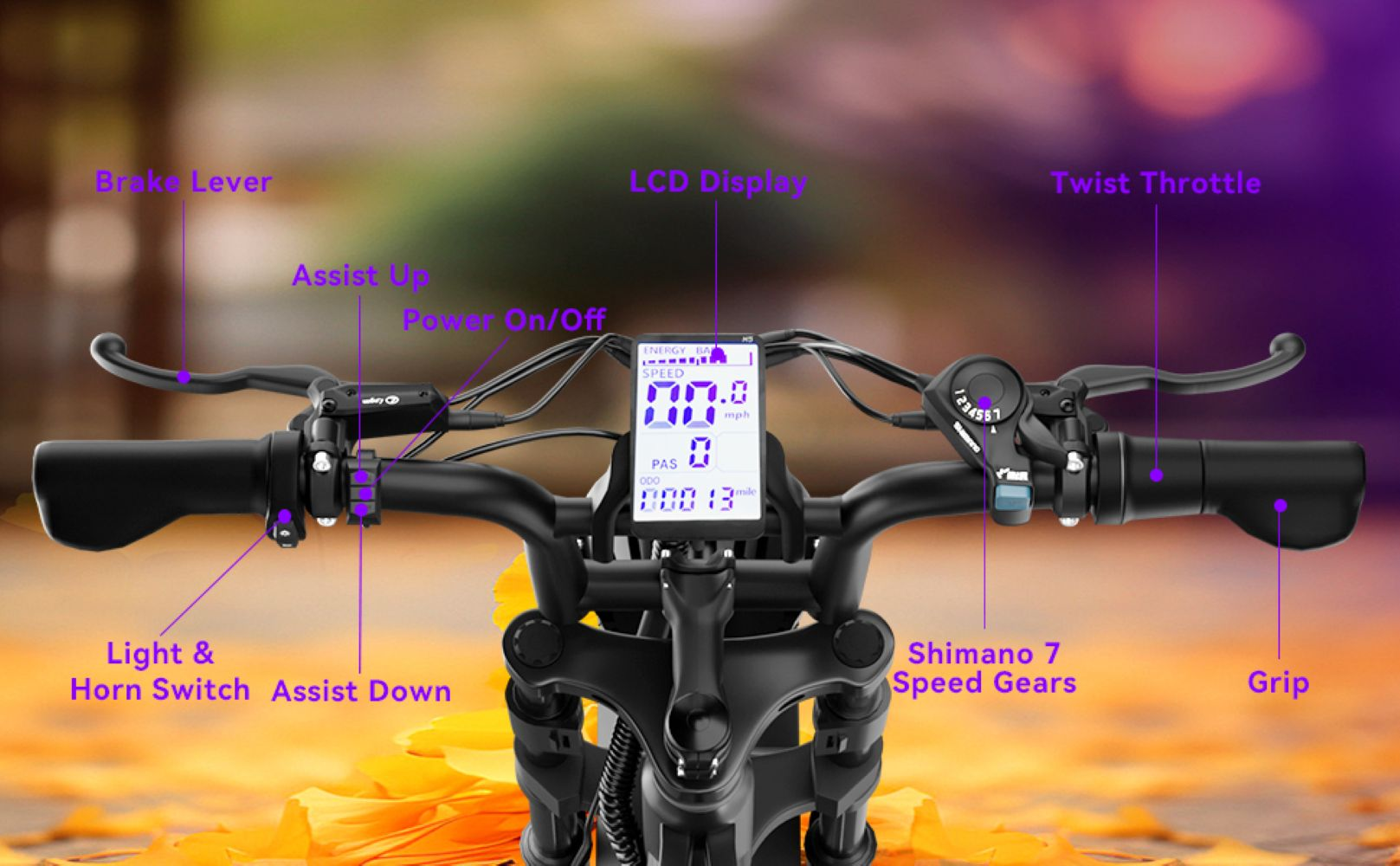Manubrio di e-bike con parti etichettate come display LCD, leva del freno, acceleratore e cambio.