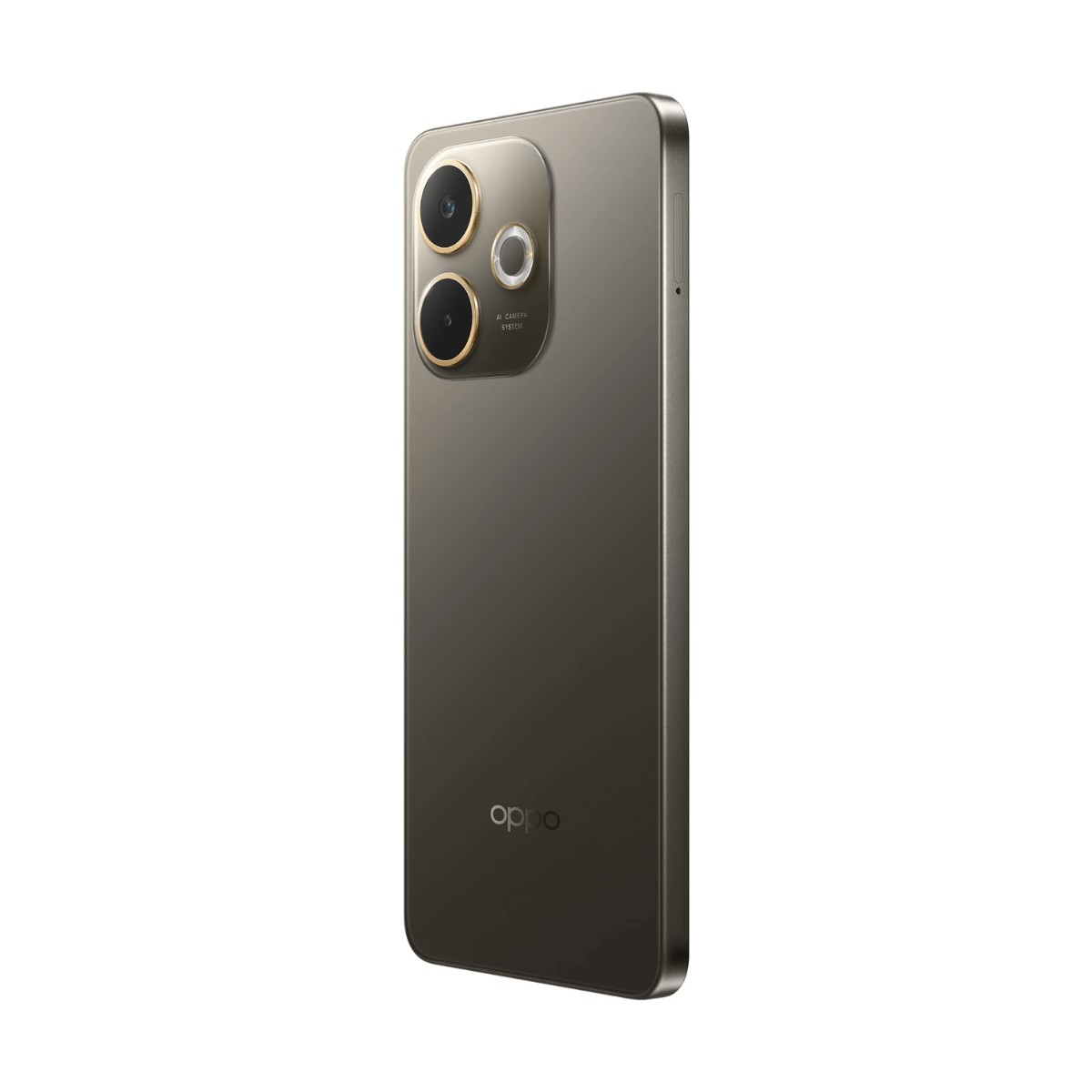 Uno smartphone Oppo grigio mostra il retro con doppia fotocamera e logo su sfondo bianco.