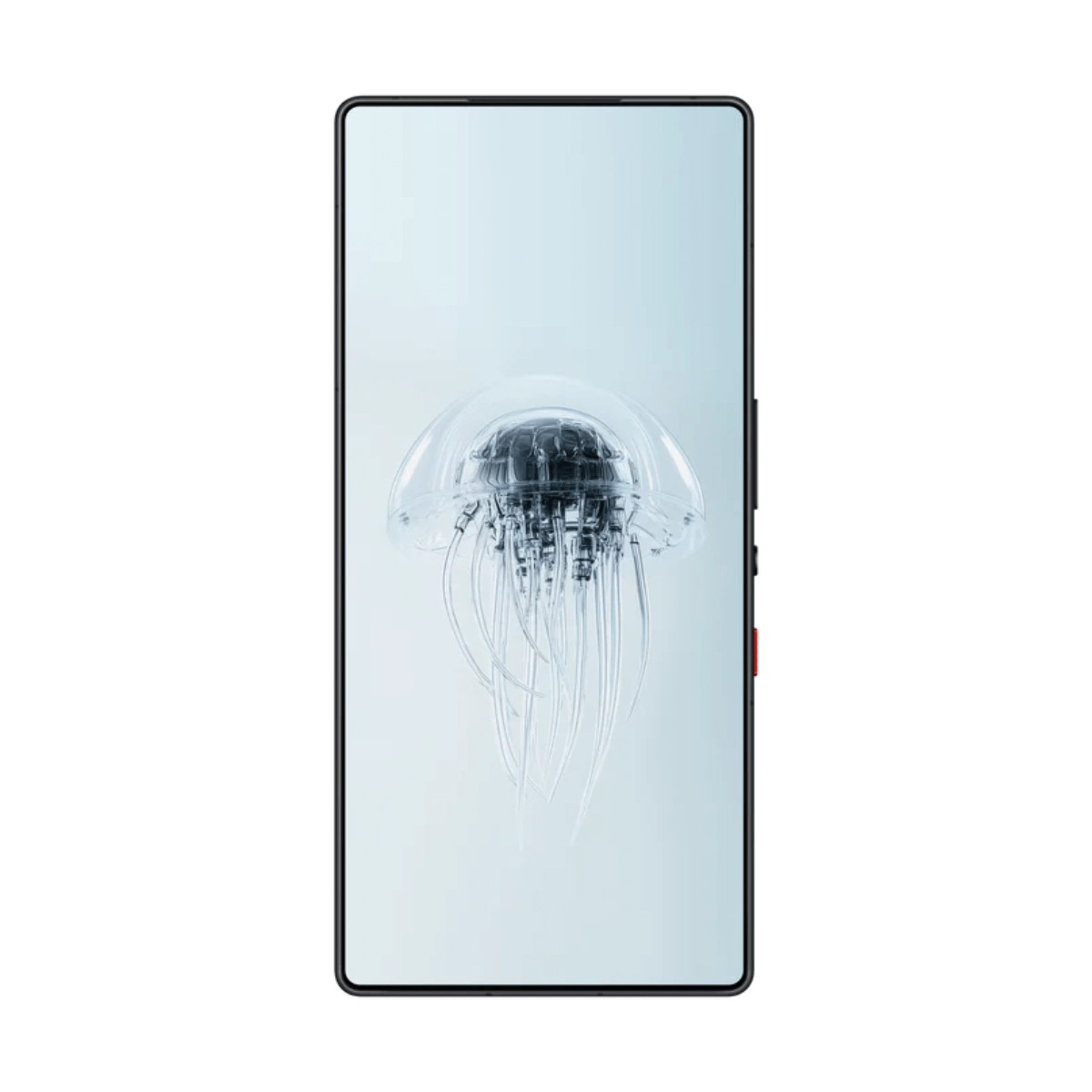 Ein Smartphone zeigt eine durchsichtige Qualle auf dem hellblauen Bildschirm.