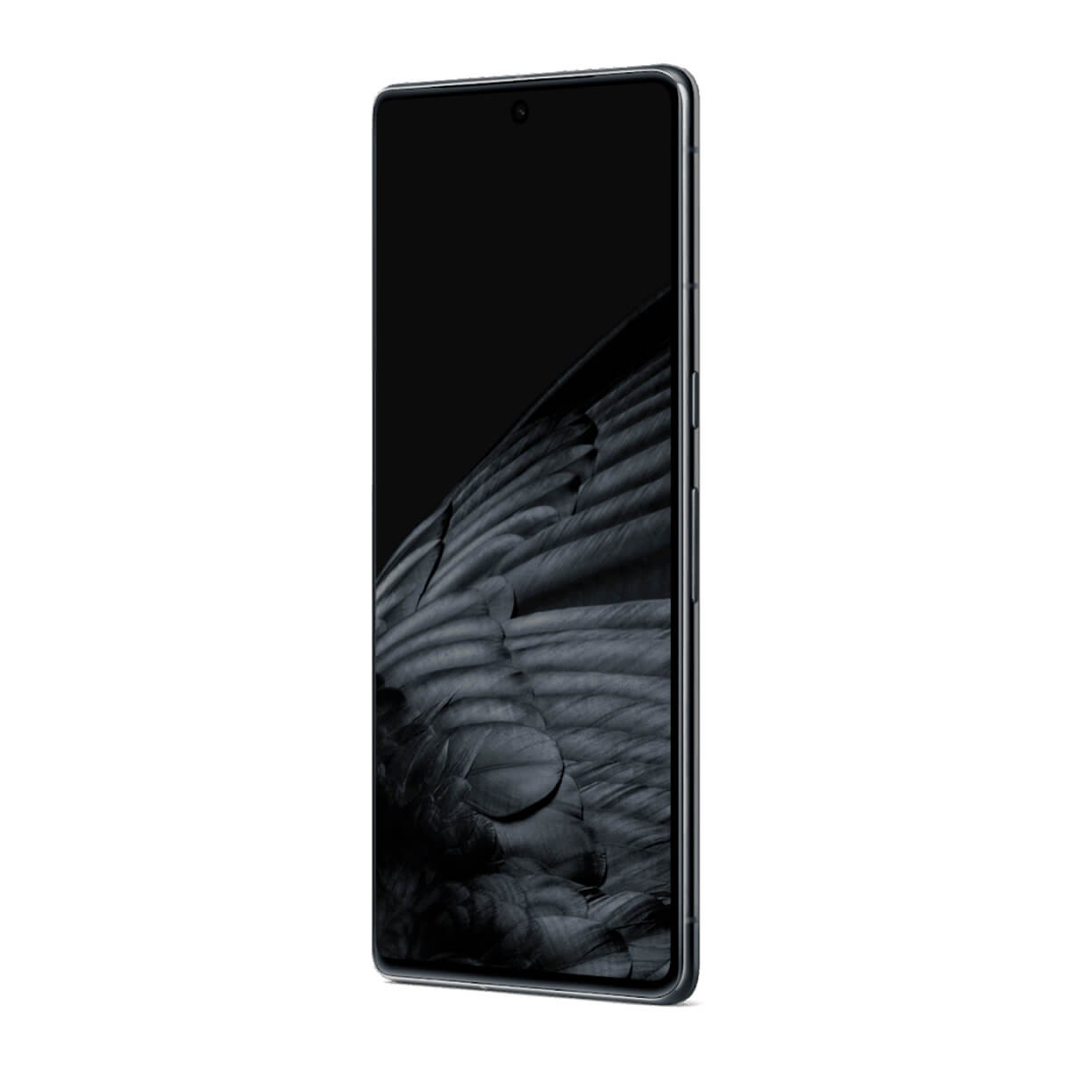 Uno smartphone nero si erge in verticale su sfondo bianco, mostrando uno sfondo con piume d'uccello scure.