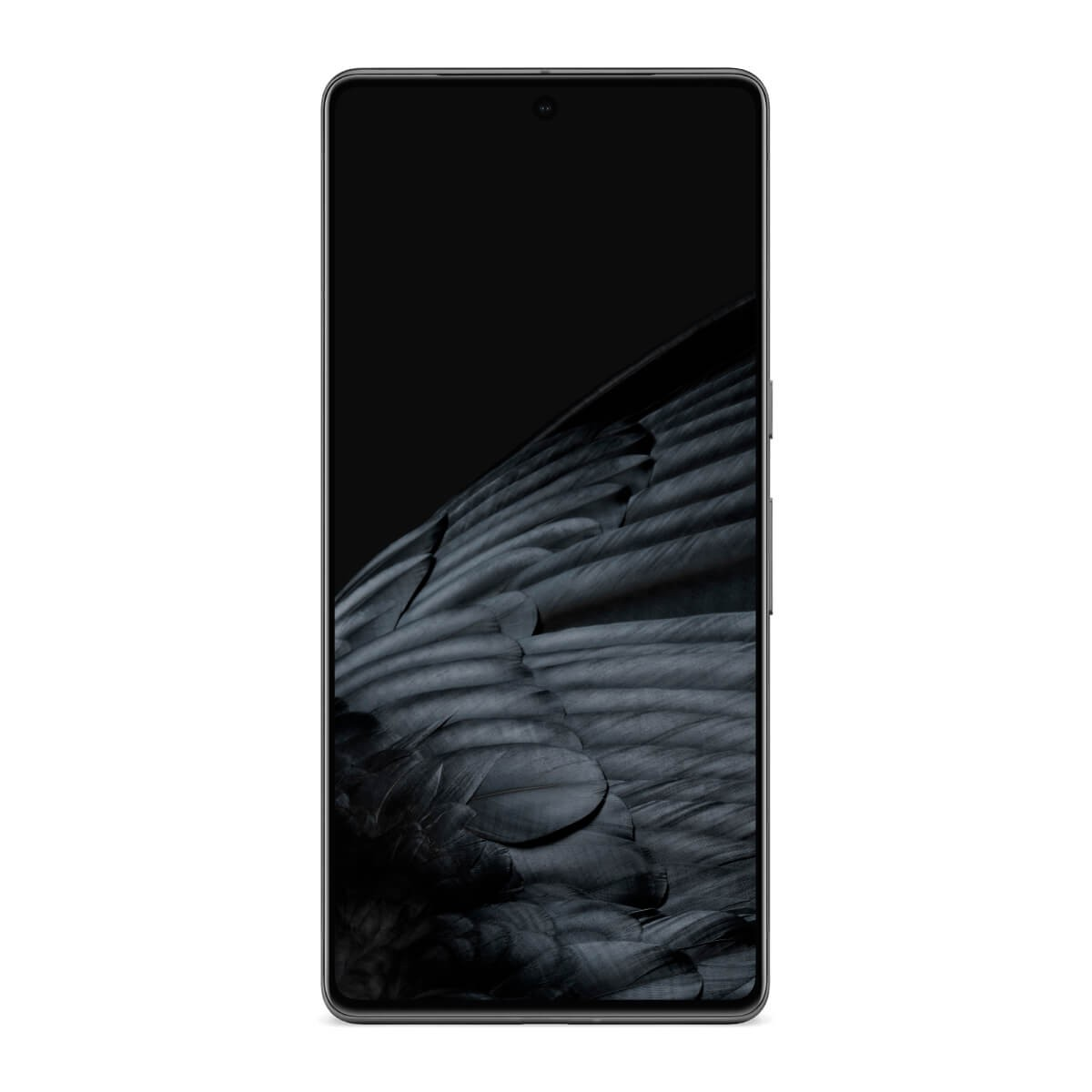 Uno smartphone con uno sfondo di piume scure visualizzato sullo schermo.