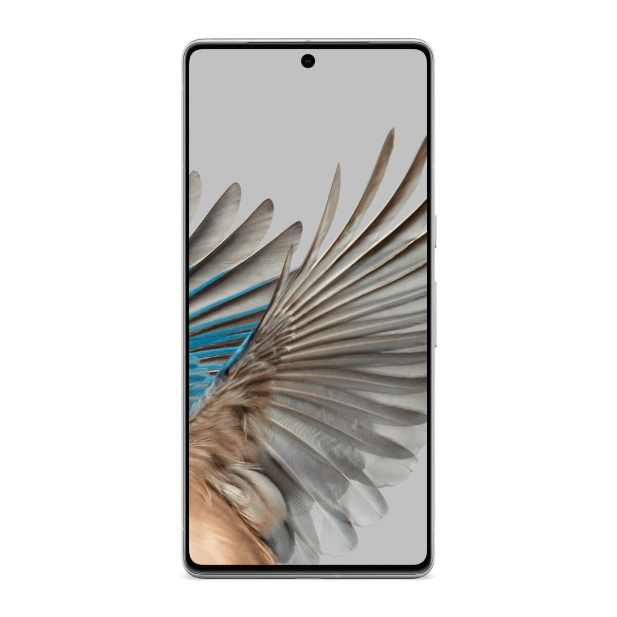 Ein Smartphone mit einer nahaufnahme von vogel federn als bildschirmhintergrund.