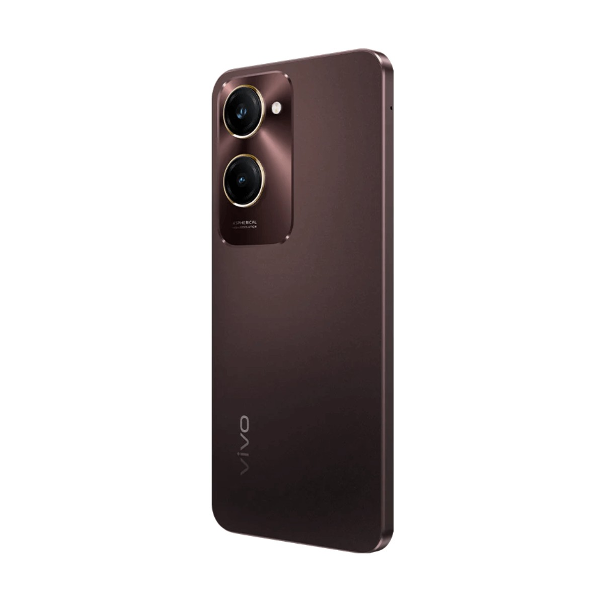 Uno smartphone marrone scuro visto dal retro, con un modulo a doppia fotocamera e il logo vivo.
