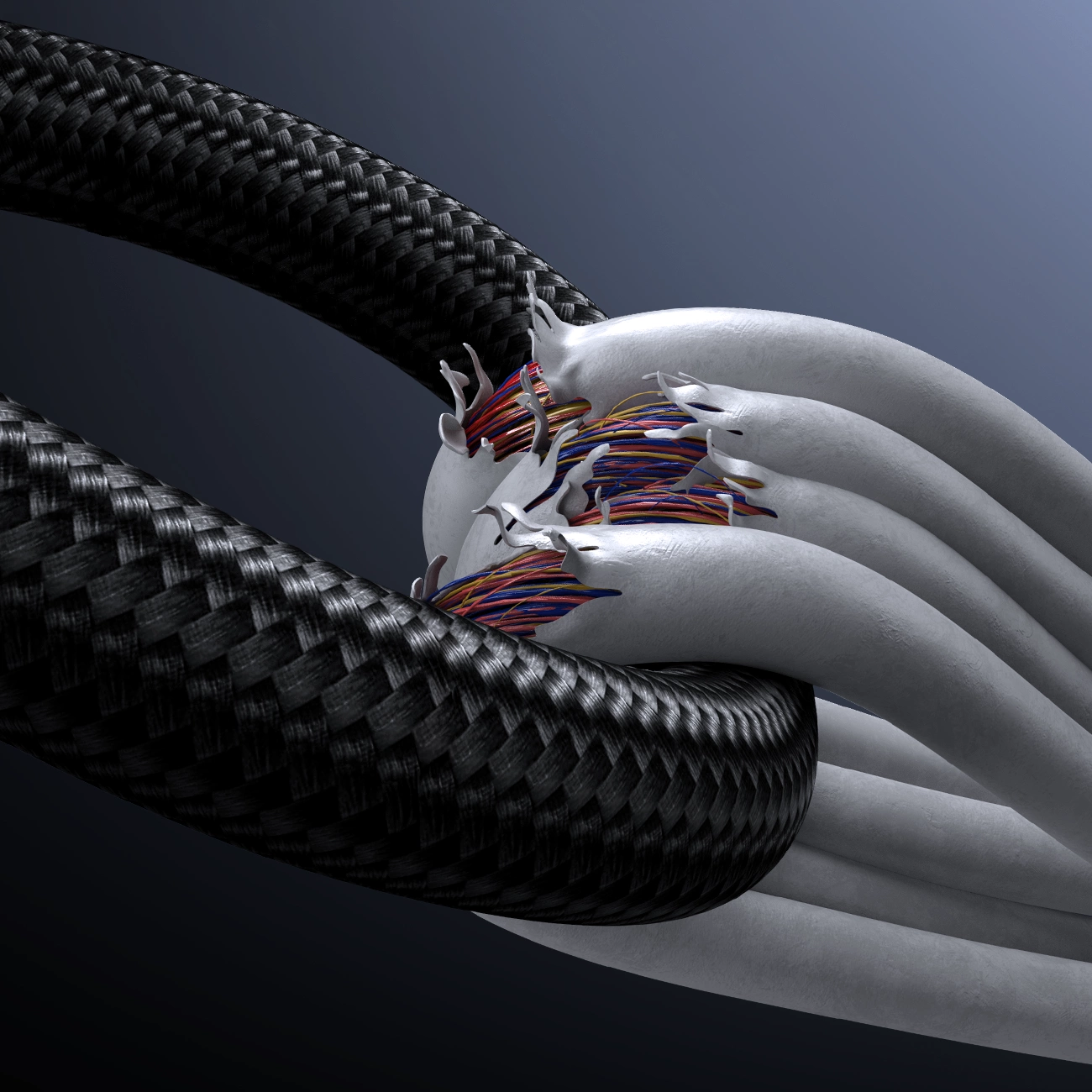 Ein schwarzes geflochtenes Kabel schlängelt sich um weiße Kabel und zeigt bunte Innenadern.