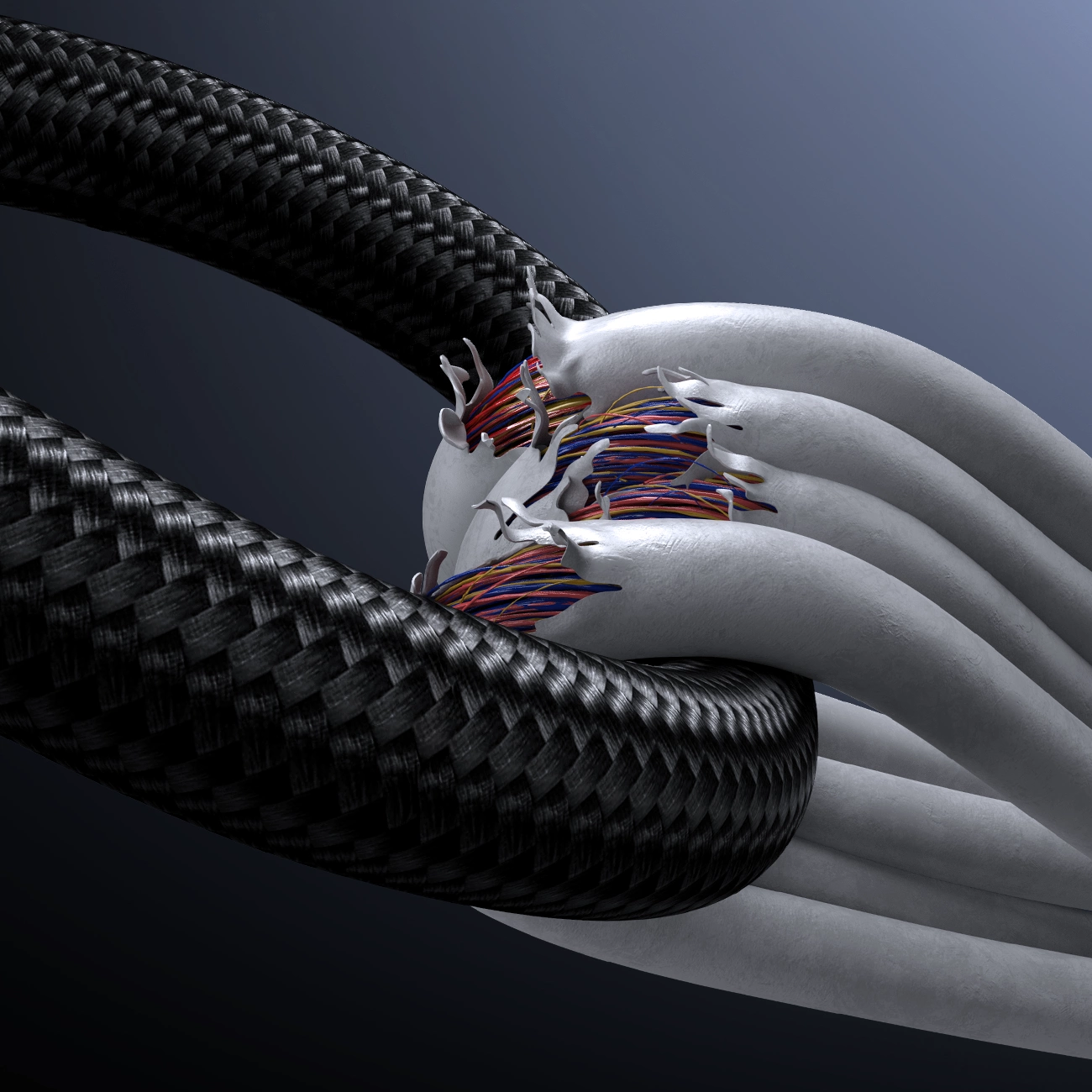 Ein schwarzes gewebtes Kabel und weiße Kabel enthüllen bunte Innendrähte.