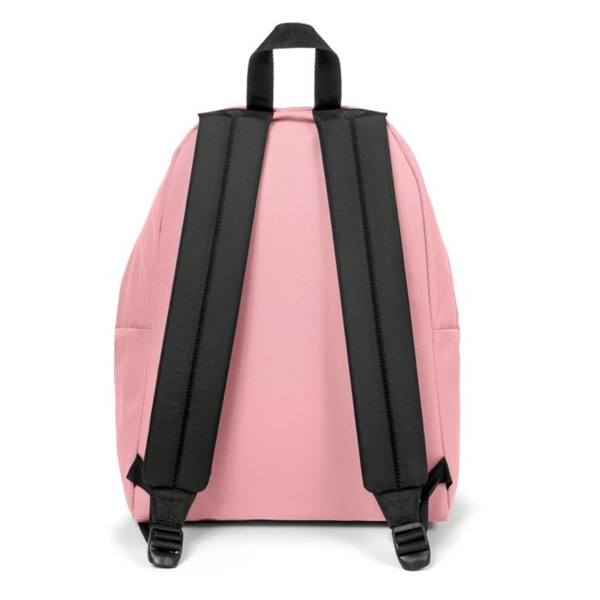 Ein rosa Rucksack mit schwarzen Trägern von hinten auf weißem Hintergrund.