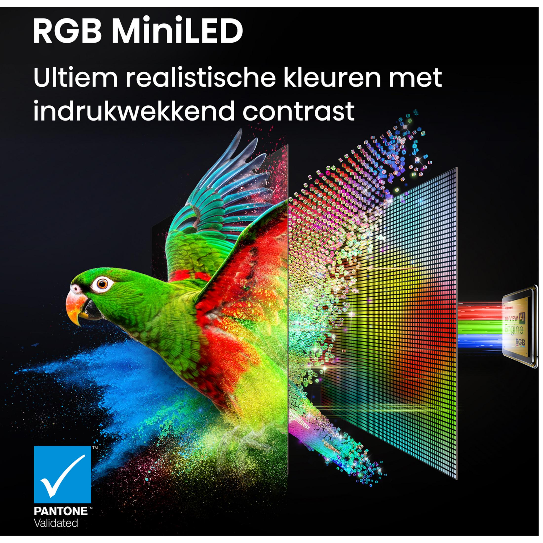 Un loro colorido vuela fuera de una pantalla RGB MiniLED, rodeado de partículas de color brillantes y texto.