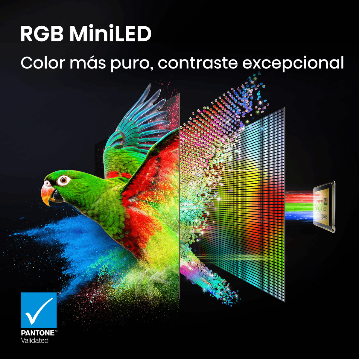 Pantalla RGB MiniLED con un loro colorido saliendo de la pantalla.