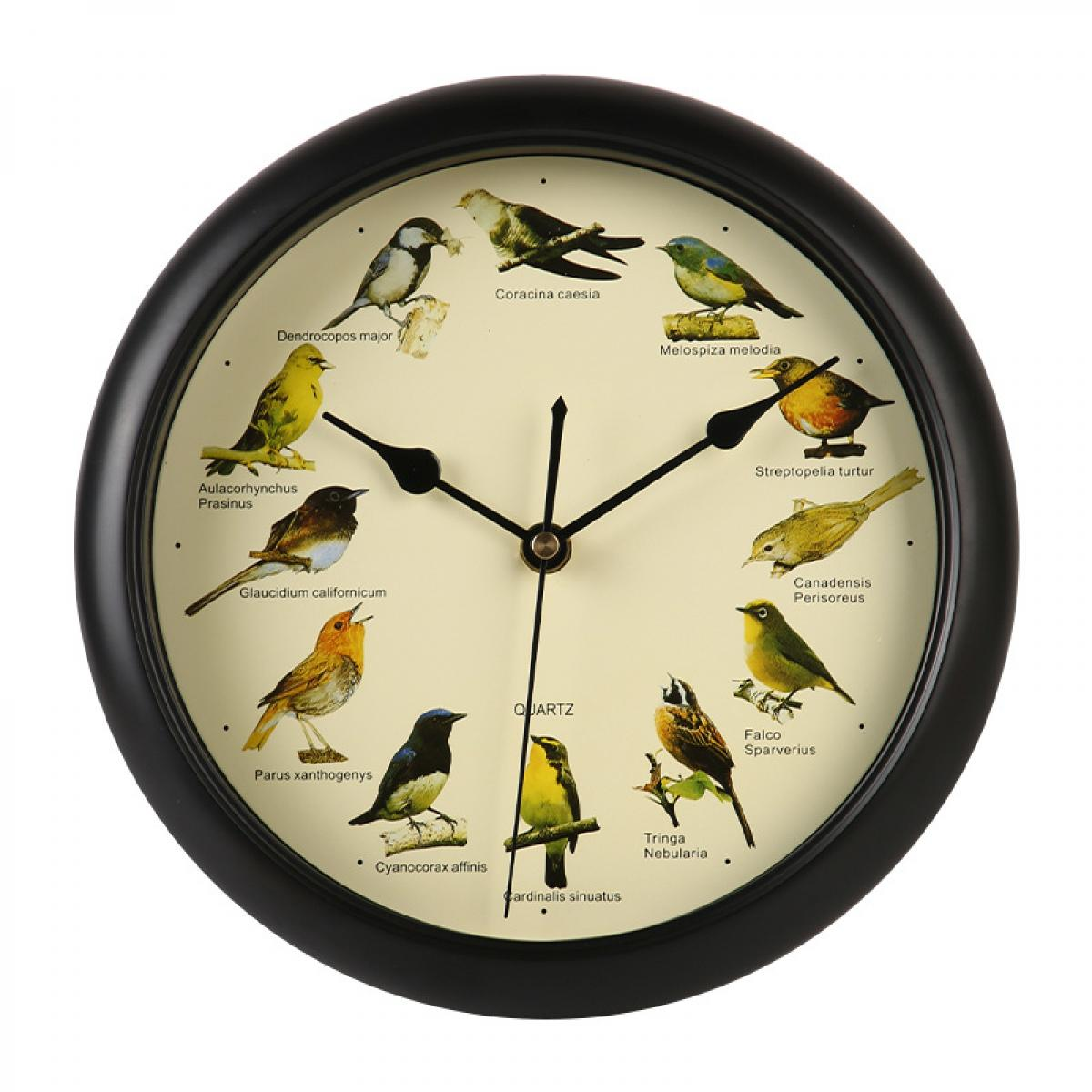 Eine schwarze Wanduhr mit illustrierten Vogelarten anstelle von Ziffern auf einem beige Zifferblatt.