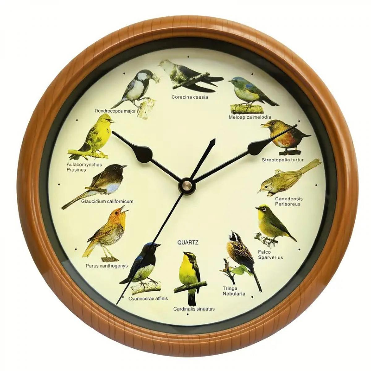 Eine Holzwanduhr mit weißem Zifferblatt, auf dem verschiedene bunte Vögel und wissenschaftliche Namen abgebildet sind.