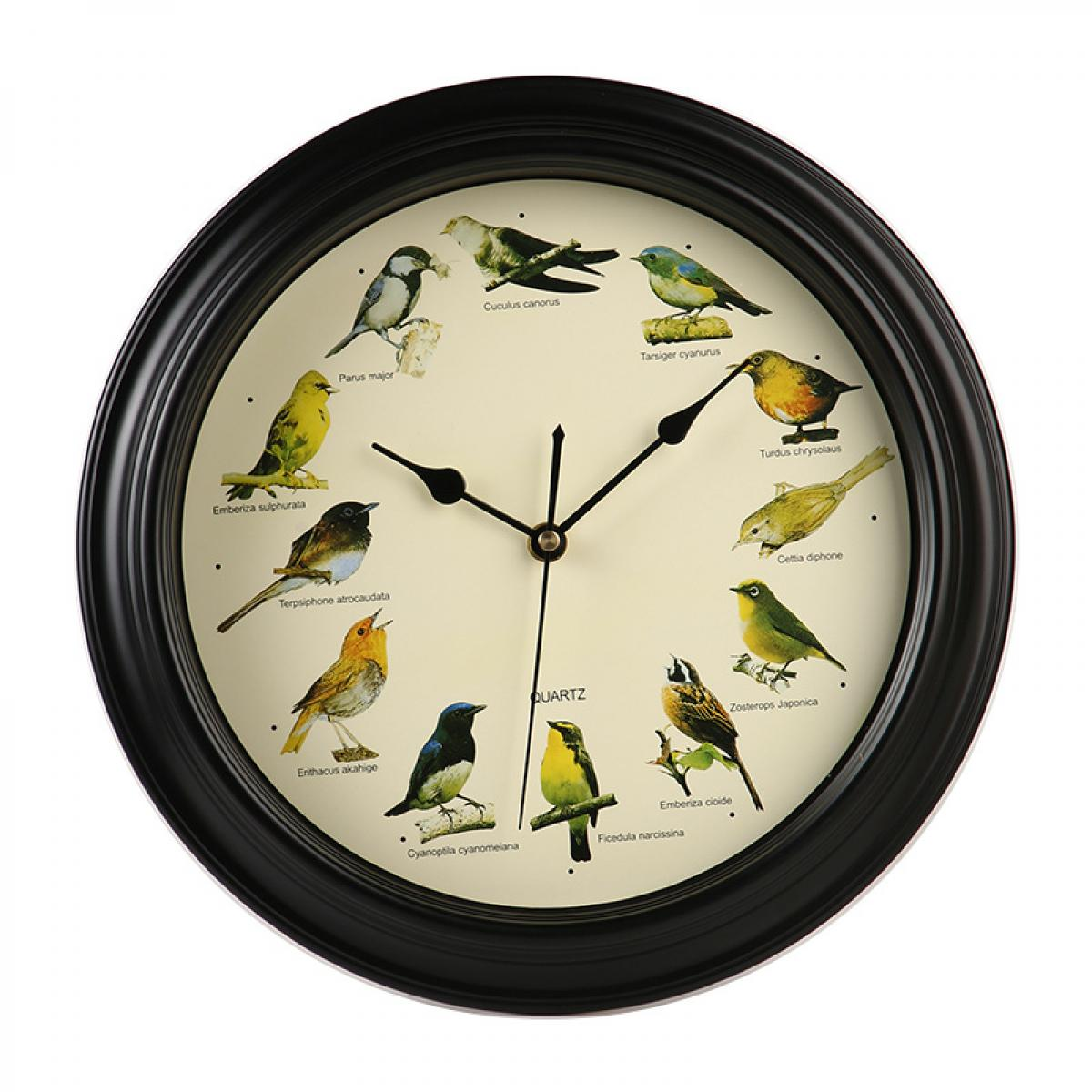 Schwarze Wanduhr mit hellem Zifferblatt, auf dem verschiedene bunte Vogelarten als Stundenmarkierungen abgebildet sind.
