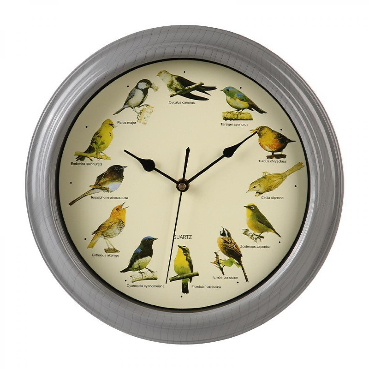 Eine runde graue Wanduhr zeigt auf ihrem cremefarbenen Zifferblatt verschiedene Vogelarten anstelle von Zahlen.