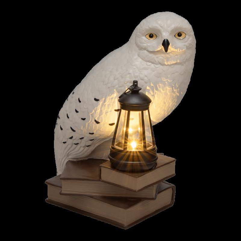 Un búho blanco se sienta sobre libros junto a un farol encendido sobre fondo negro.