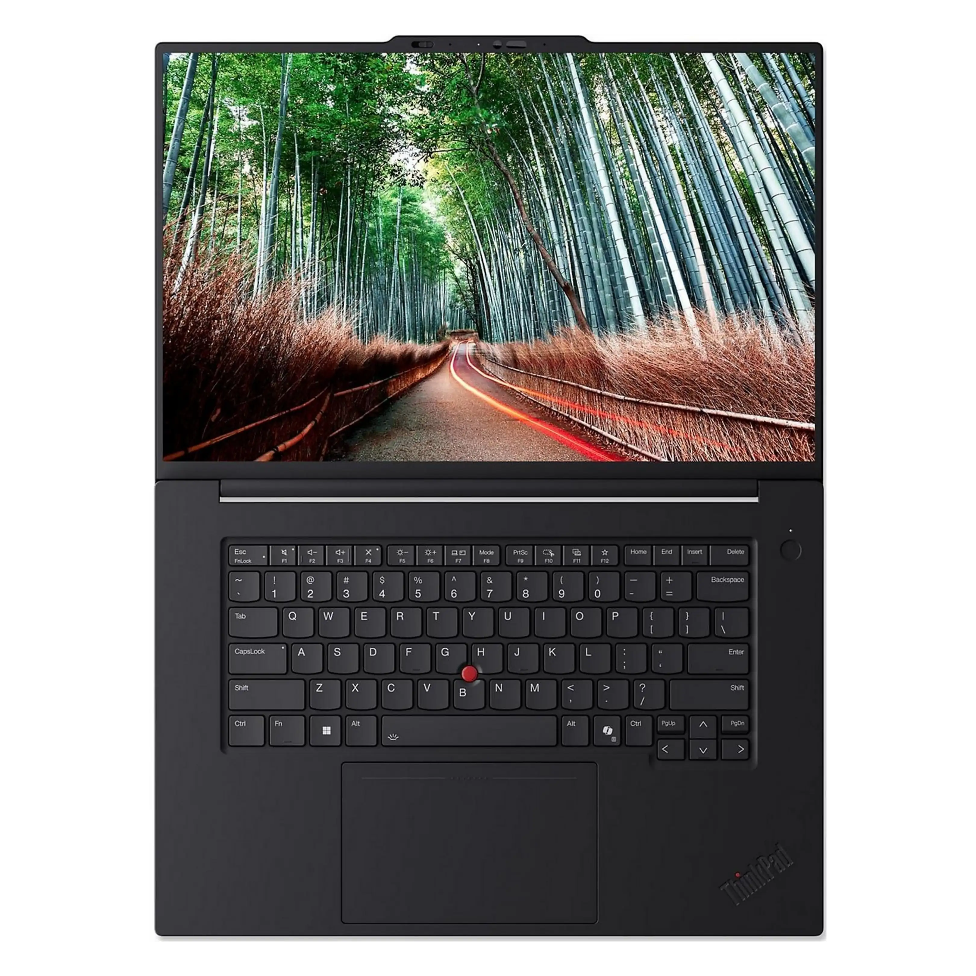 Un computer portatile nero mostra un sentiero in una foresta di bambù verde.