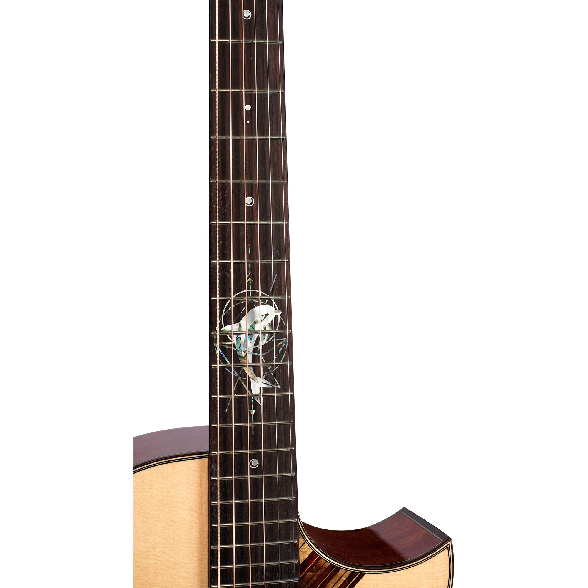 Klavye işlemeli ve beyaz arka plana sahip akustik gitar sapının yakın plan görüntüsü.