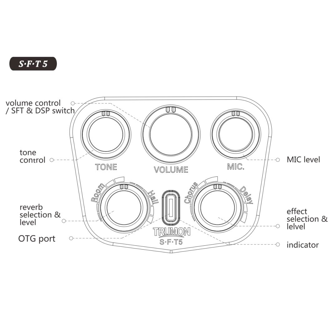 Tone, Volume, Mic, Hall ve Chorus düğmelerine sahip ses kontrol paneli diyagramı ve etiketleri.