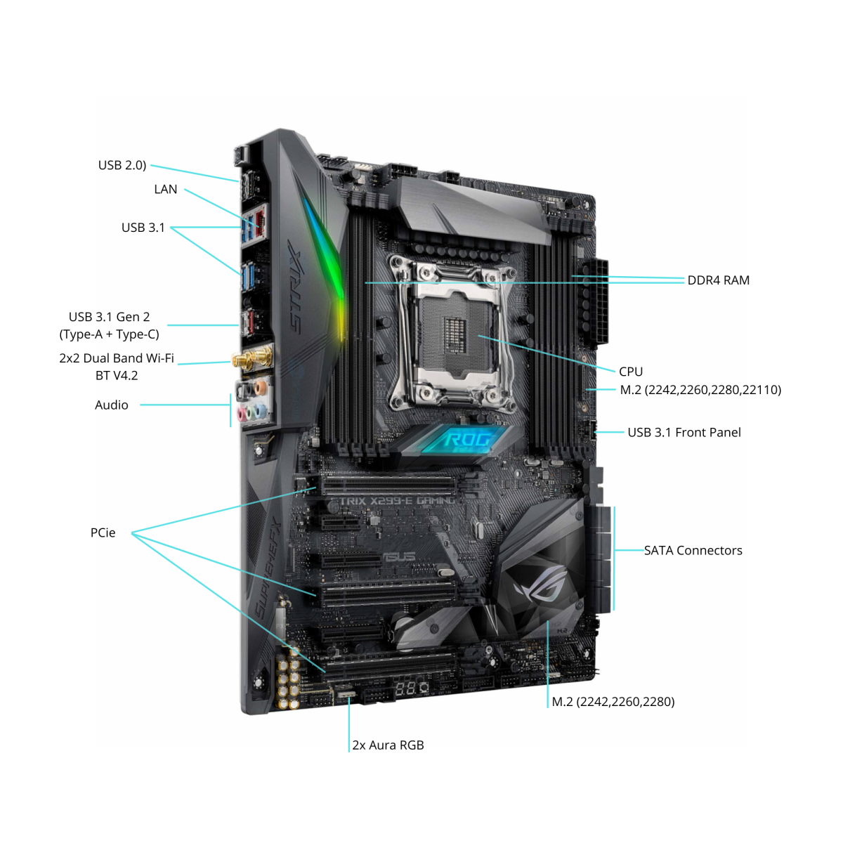 Una scheda madre ASUS ROG Strix con porte etichettate tra cui USB, LAN, PCIe, SATA e socket CPU.