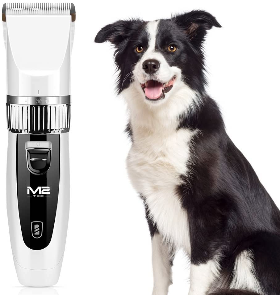 Eine wei#-schwarze Tierschneidemaschine steht neben einem gl#cklichen Border Collie vor wei#em Hintergrund.