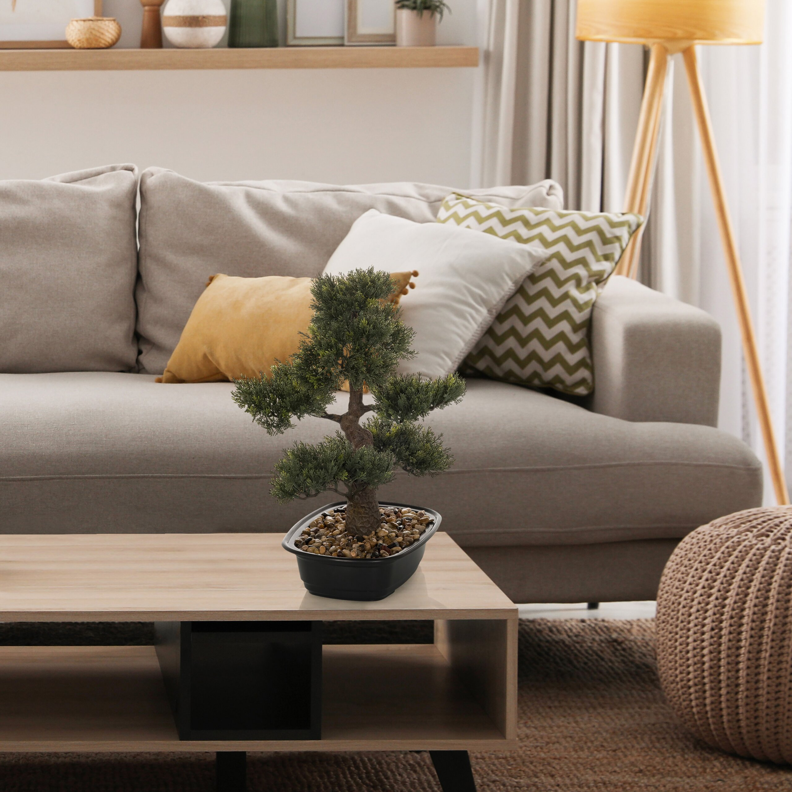 Ein kleiner Bonsaibaum in einem schwarzen Topf auf einem Holztisch vor einem Sofa mit Kissen.
