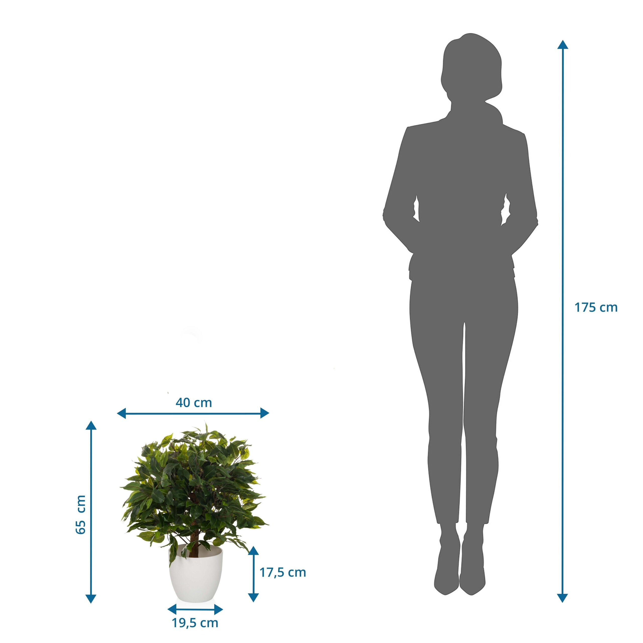 Diagramm zeigt die Maße einer künstlichen Topfpflanze im Vergleich zu einer 175 cm großen Person.