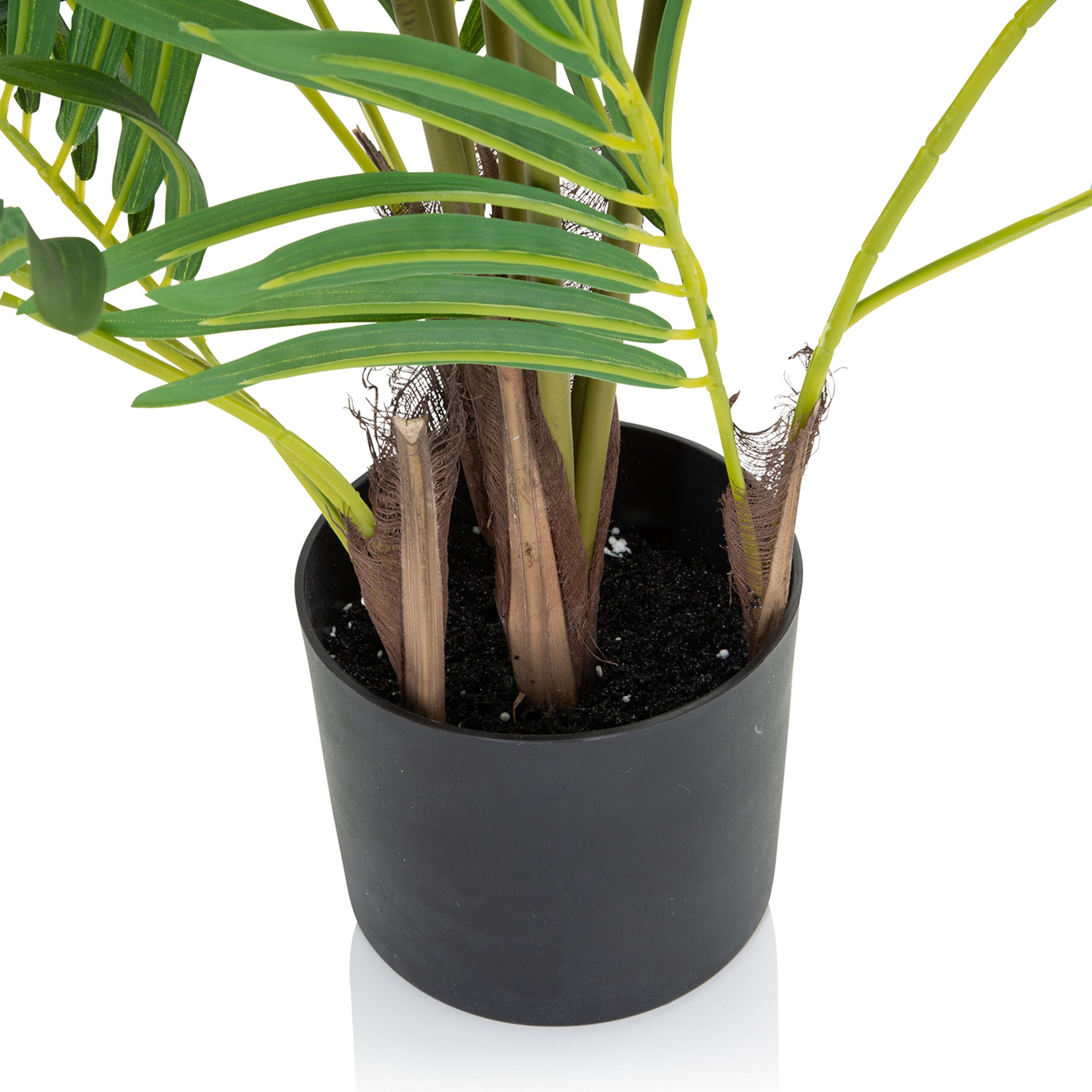 Künstliche Palme in einem schwarzen Plastiktopf vor weißem Hintergrund.
