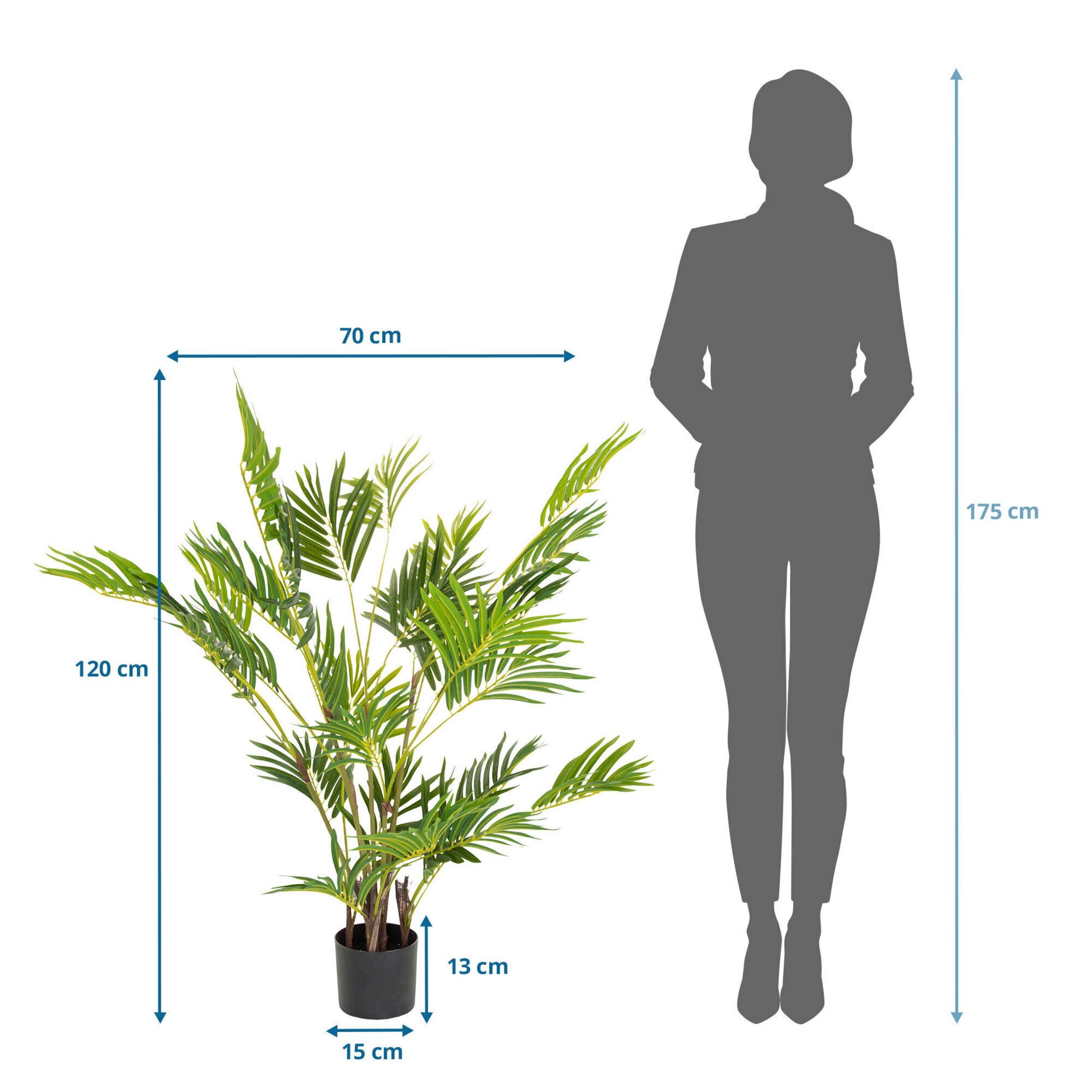 Diagramm zeigt eine künstliche Palme mit Maßen und eine Frauen-Silhouette.