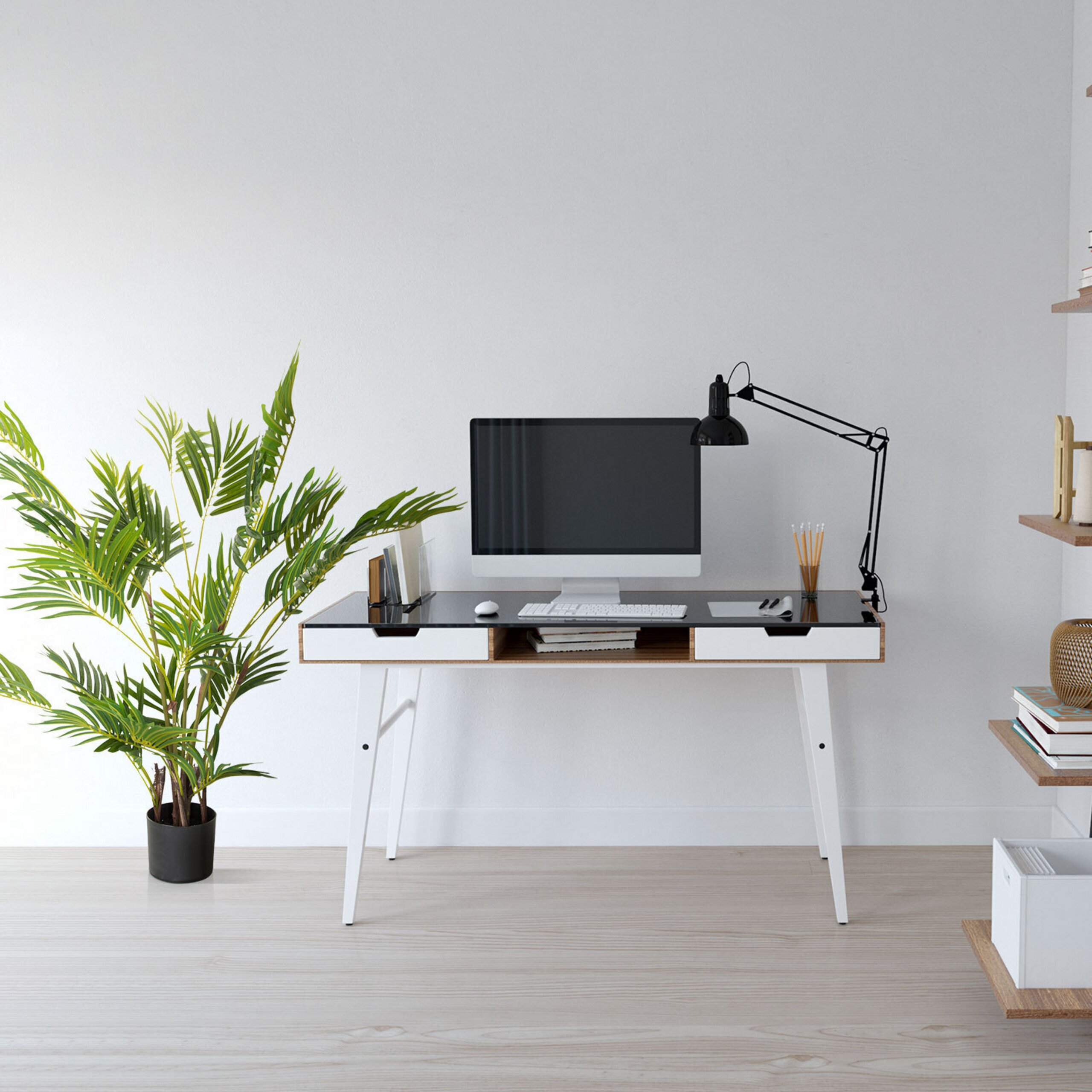 Moderner Schreibtisch mit Computer, Lampe und grosser Gruenpflanze vor einer weissen Wand.