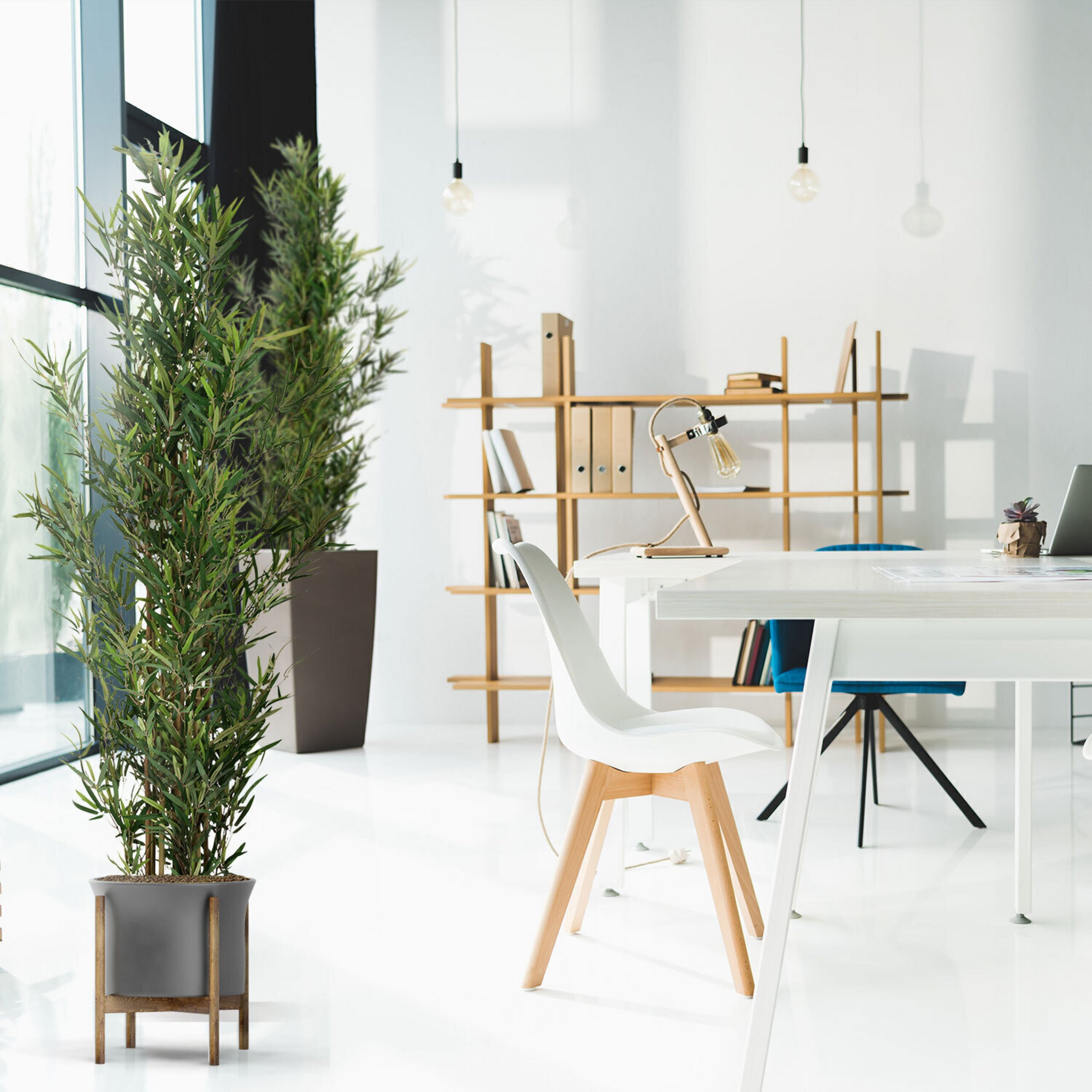 Ein helles Büro mit großen Fenstern, weißen Tischen, Holzregalen, grünen Pflanzen und weißen Stühlen.